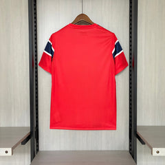 Norway Home Jersey World Cup 2026 Player Version